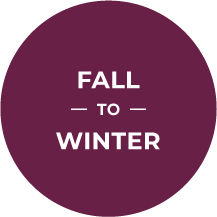 Fall to winter