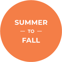 Summer to fall
